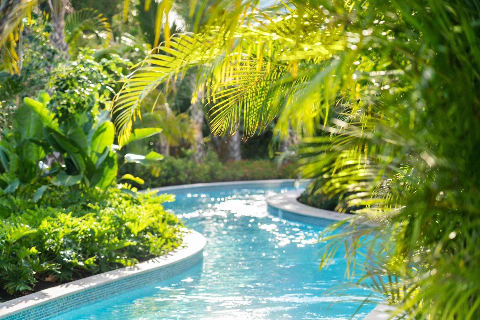 The Ritz-Carlton Naples, Tiburon Hotell Eksteriør bilde