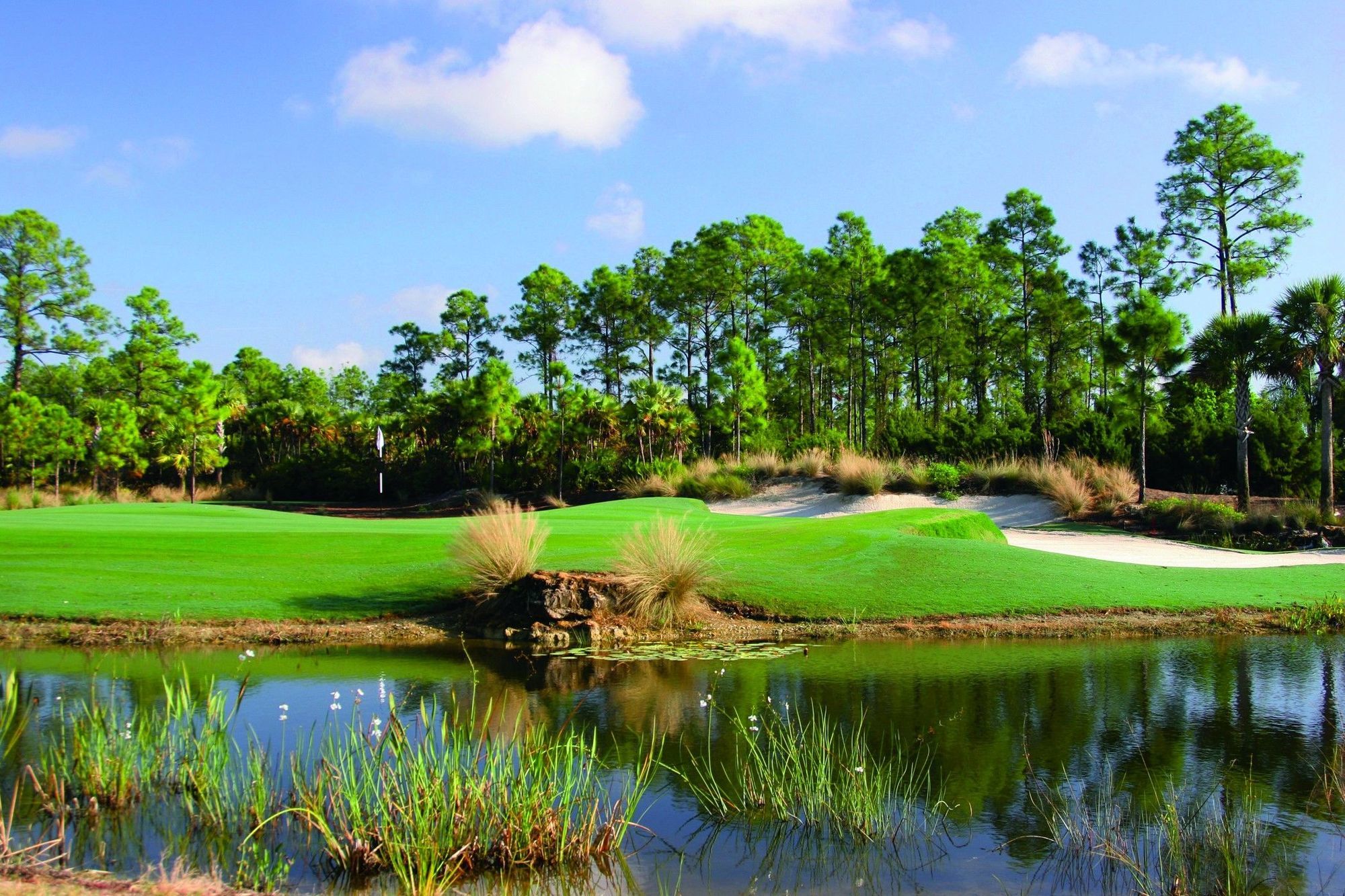 The Ritz-Carlton Naples, Tiburon Hotell Eksteriør bilde